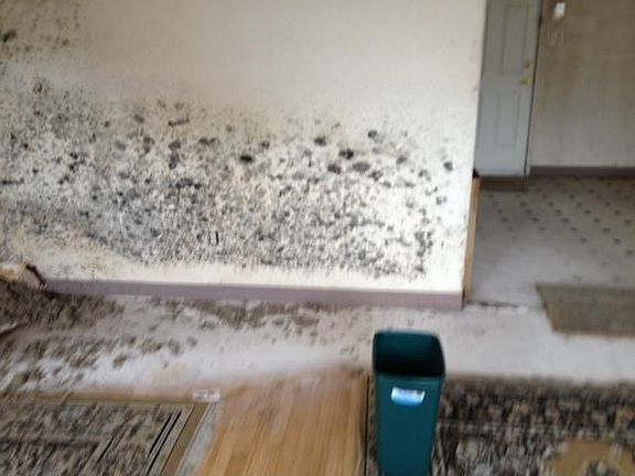 2nd image of 142 Butterworth Ave