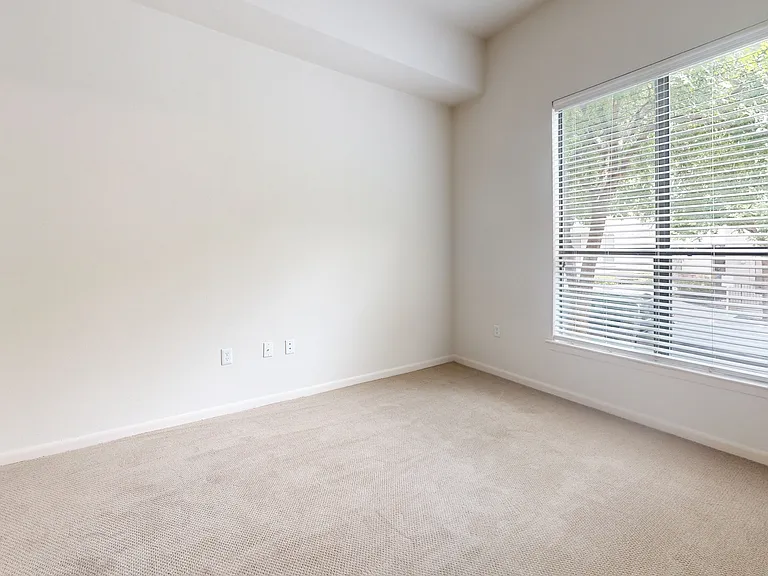 Residences at the Domain — Photo 88