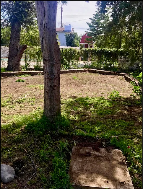 3 bed, 1300 sqft, $4,100 — Photo 4