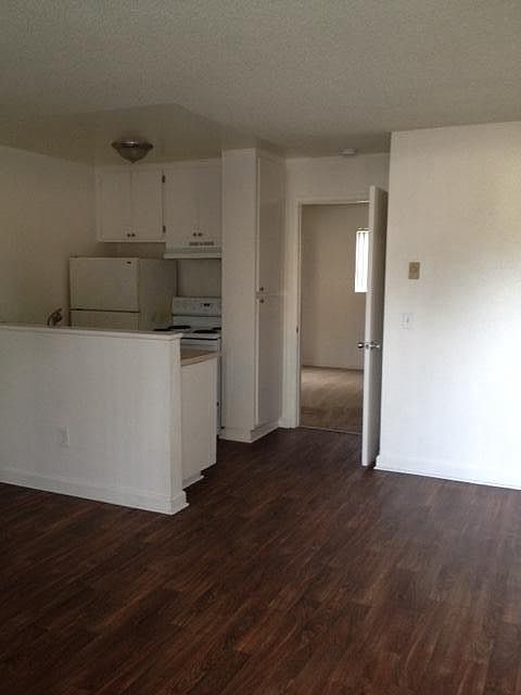 Living room/Kitchen