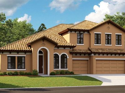 295 Mossy River Ct, Brandon, FL, 33511