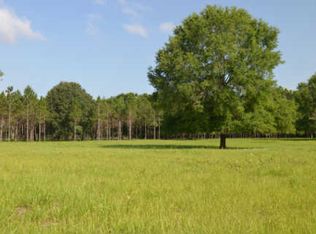 1303 SW Drew Feagle Ave, Fort White, FL 32038