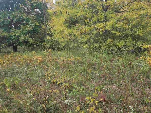 348 Cross Trl, Wonewoc, WI 53968