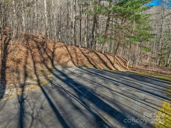 Ladys Fern Trl #10, Hendersonville, NC 28739