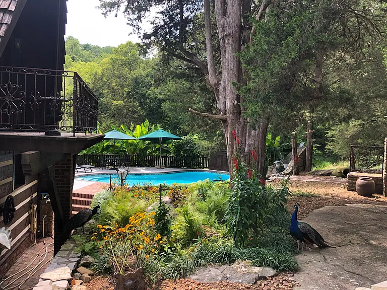 relax in private swimming pool (shared with B&B guests and family of Landlord)