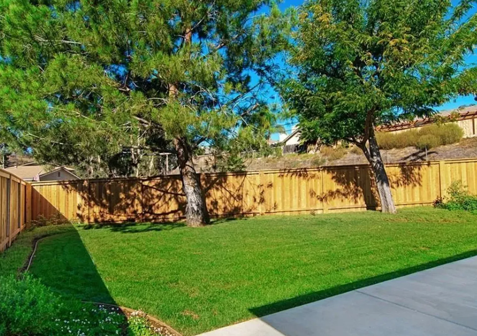 Vineyard Road — Photo 4