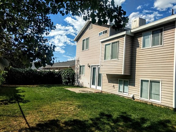 back patio and grapevines