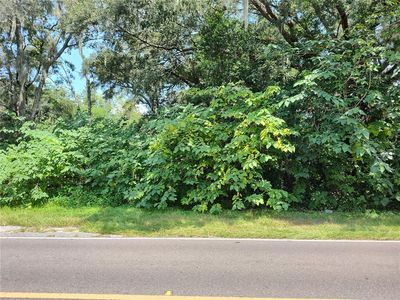 0 NE 40th St #16, Williston, FL, 32696