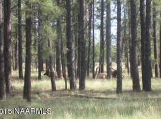 1411 N Westview Trl, Flagstaff, AZ 86001