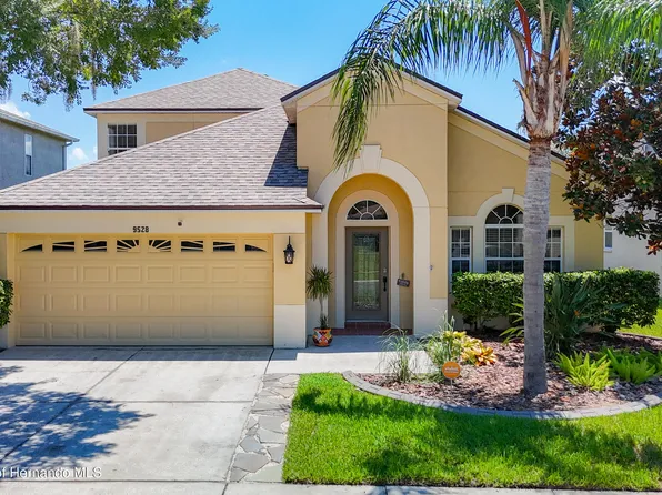 9528 Baton Rouge Ln, Land O Lakes, FL 34638