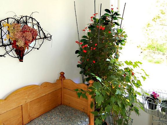 Entry Foyer