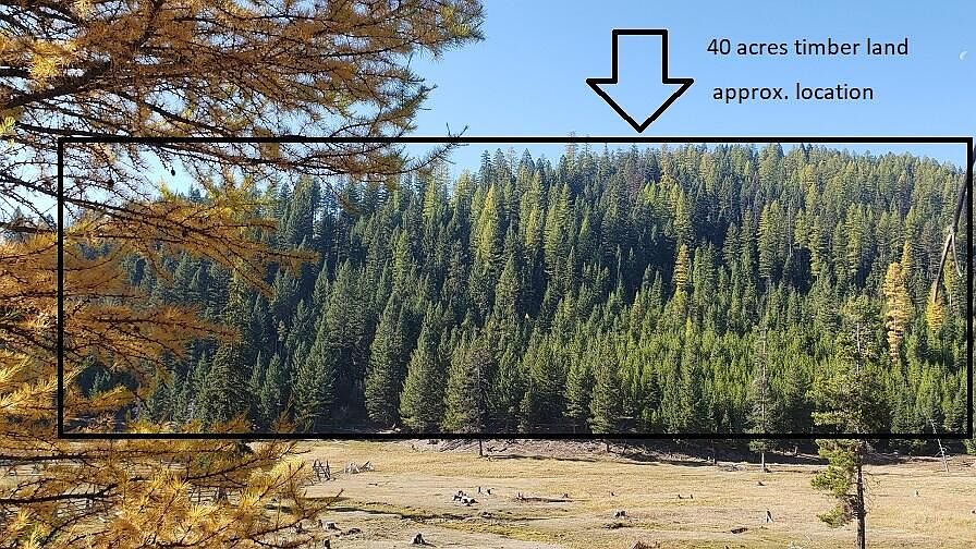 Fern Creek Rd, Frenchtown, MT 59834 MLS 22214998 Zillow