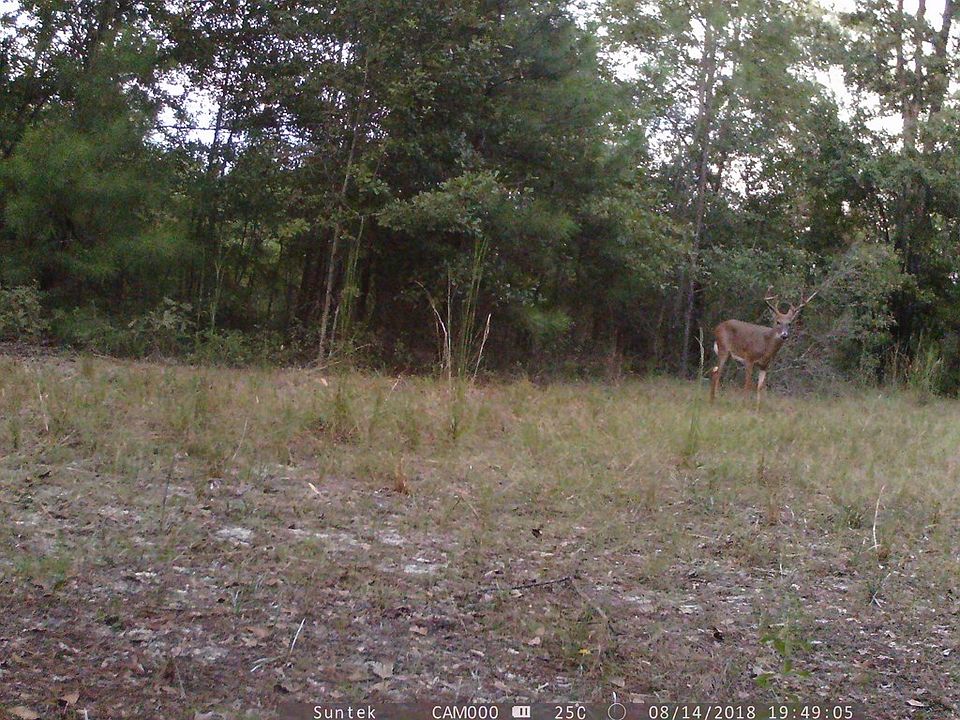 2nd image of 5454 Ga Highway 300