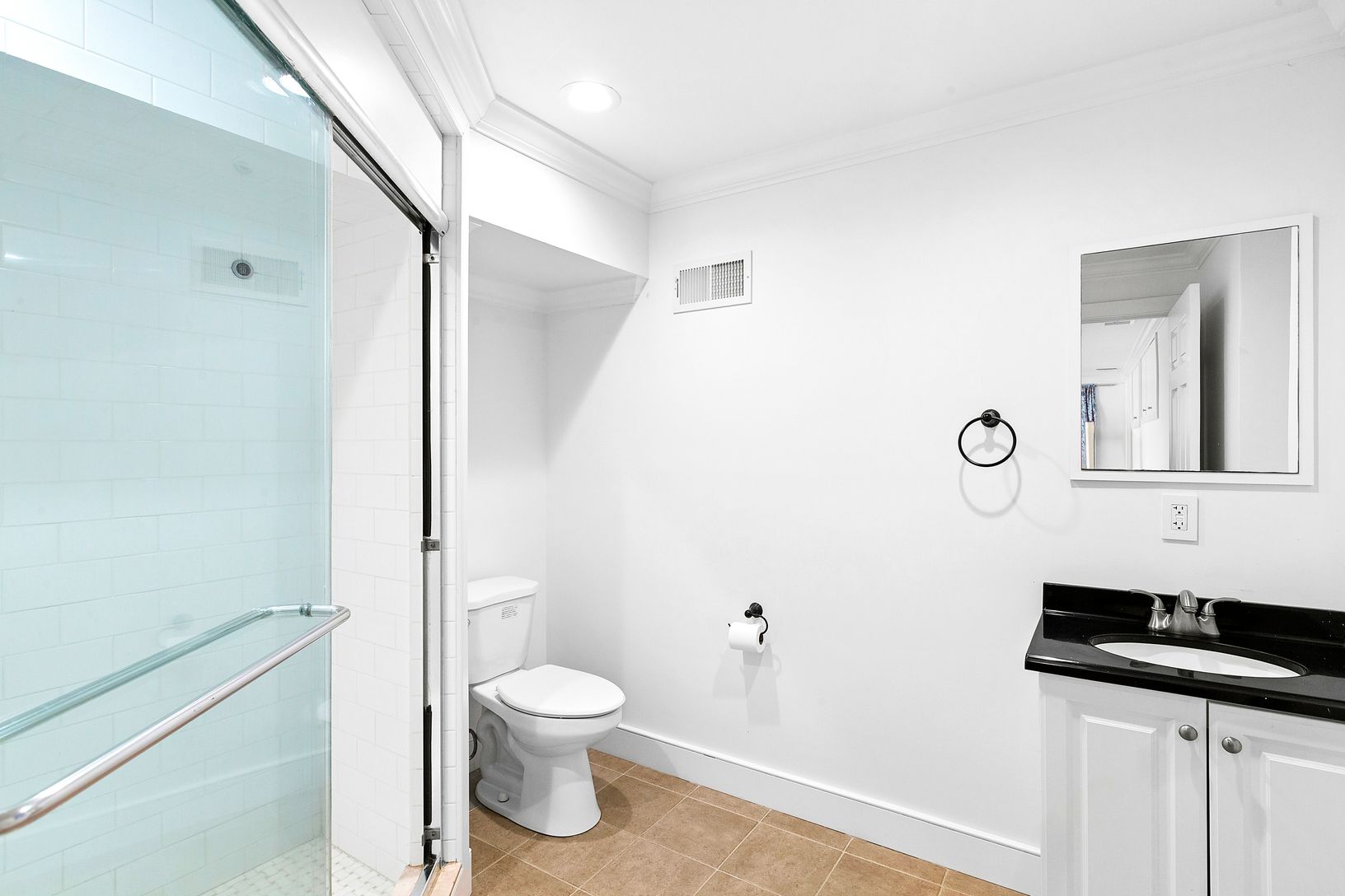 Lower level bathroom with steam shower