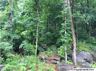 Wyeth Dr, Guntersville, AL 35976