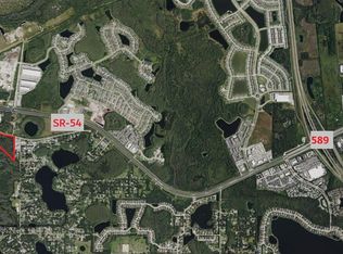14356 Black Lake Rd Lot 5, Odessa, FL 33556