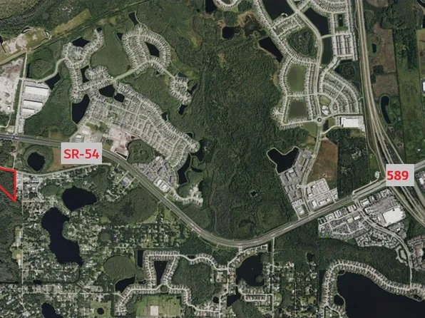 14356 Black Lake Rd Lot 5, Odessa, FL 33556