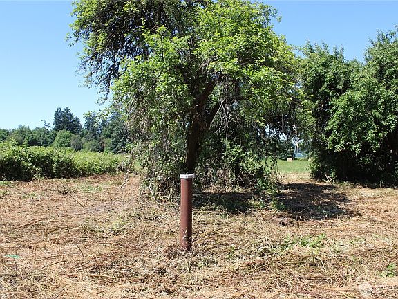 4th image of 240 Elma Gate Road
