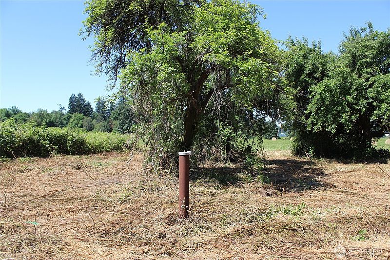 5th image of 240 Elma Gate Road