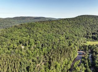 821 Berry Brook Rd, Roscoe, NY 12776