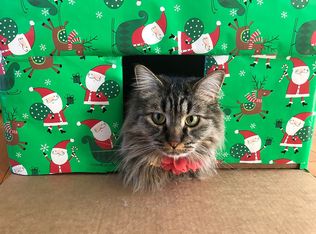 8611 Geirinhas Pl, Anchorage, AK 99507