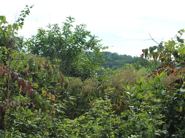 26 Trillium Heights Ct, Hayesville, NC 28904