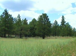 92 Caldera Rd, Grants, NM 87020