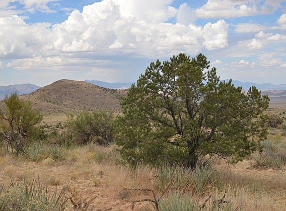 2nd image of Corral Rd