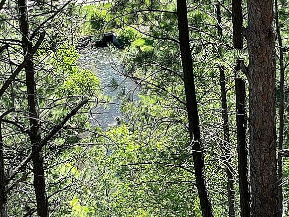 View Rapid Creek