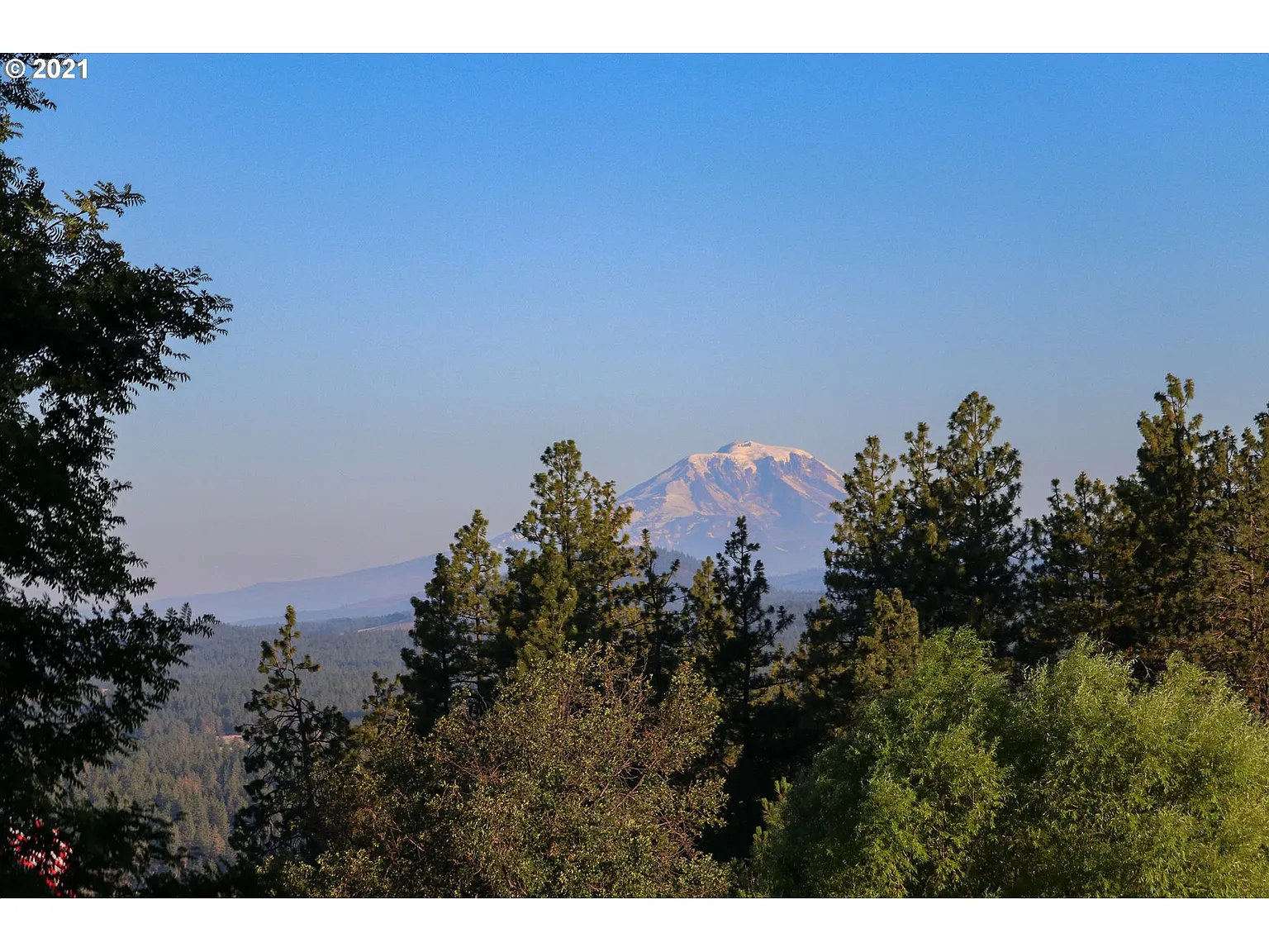 Adams Loop Rd photo 1