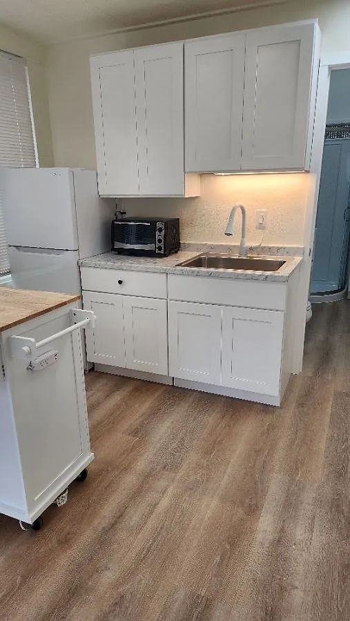Studio, 250 sqft, $1,000 — Photo 3