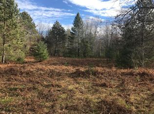 W Kelly Rd, Lake city, MI 49651