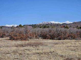 13 Roberts Ridge Dr, Hesperus, CO 81326