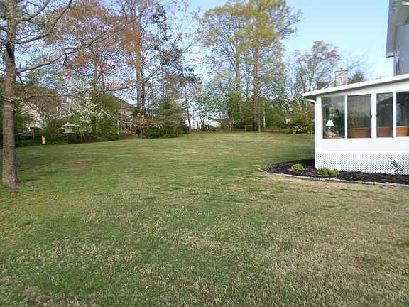 Level Backyard