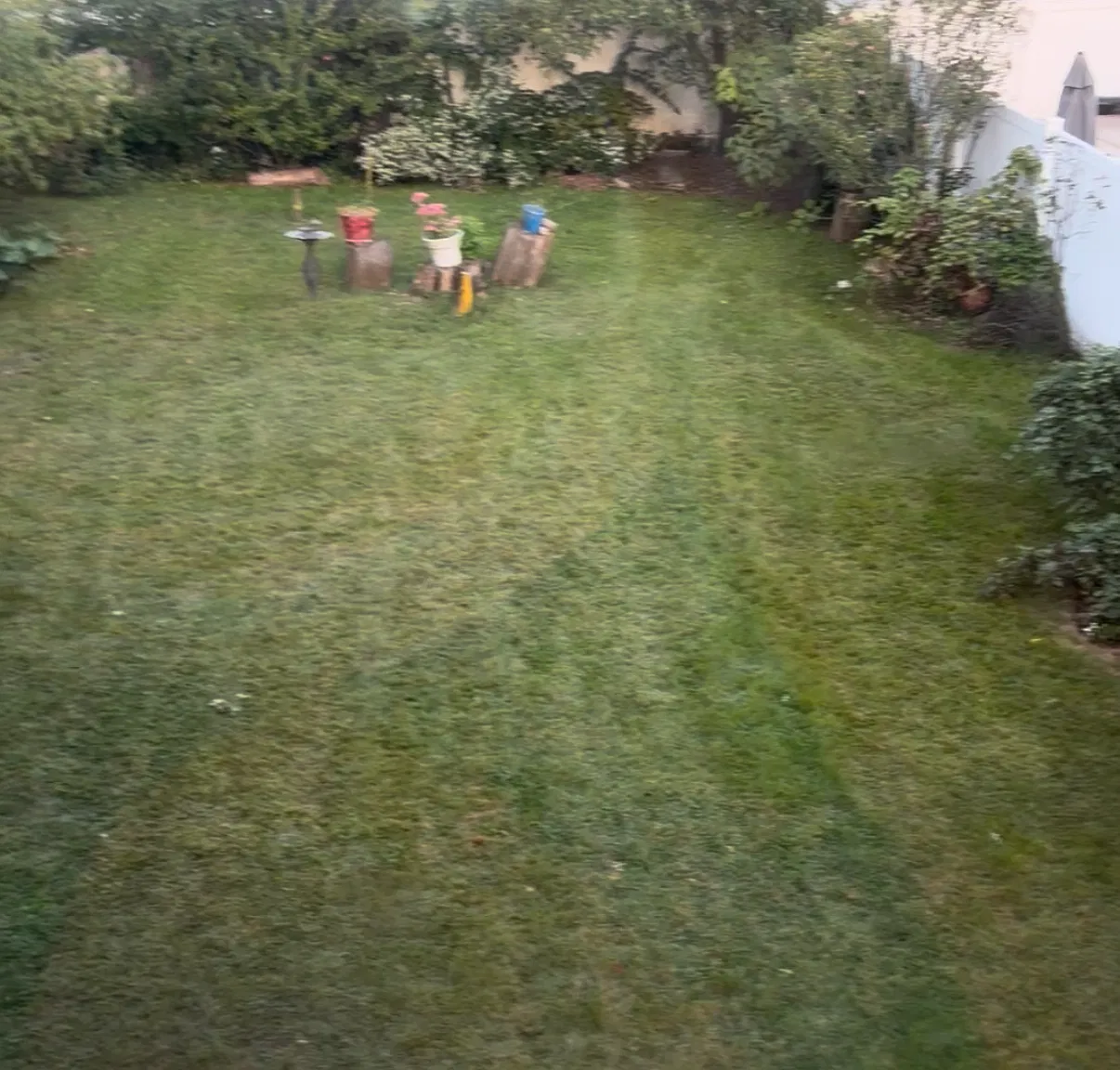 3 bed, $3,000 — Photo 3