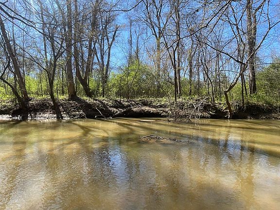 5th image of 161 Little River Trl
