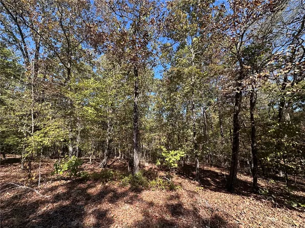 Cuenca Cir #59, Hot Springs Village, AR 71909