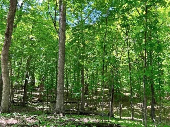 621 Fox Hill Dr, Chanhassen, MN 55317