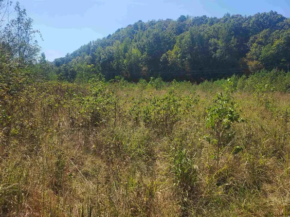 Polk Rd #67, Mena, AR 71953