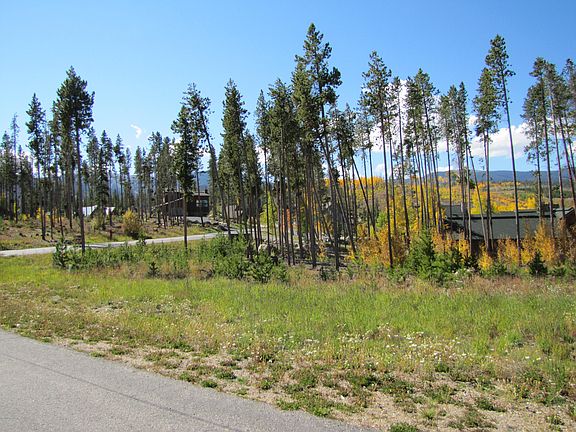 4th image of 100 MOOSE Trail