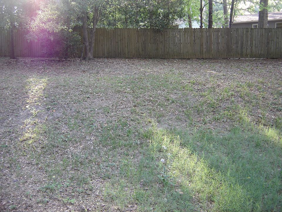 Large yard