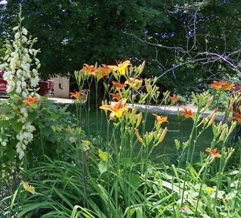 Flower gardens