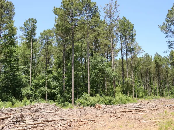 Stoney Battery Rd, Newberry, SC 29108