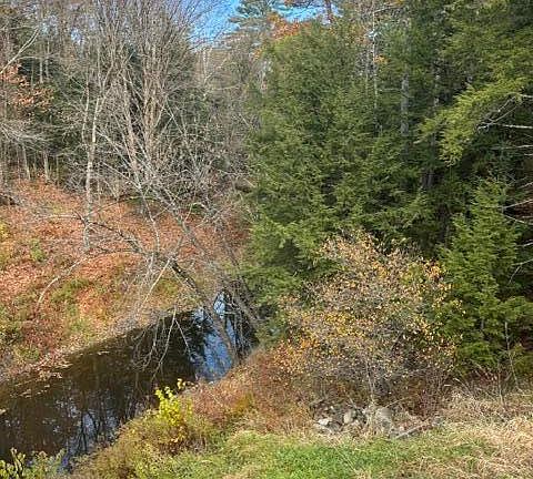 2nd image of 187 Farmington Falls Road