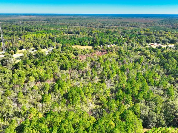 0 E Golden Isles Hwy, Lumber City, GA 31549