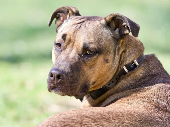 325 Level Rd, Collegeville, PA 19426