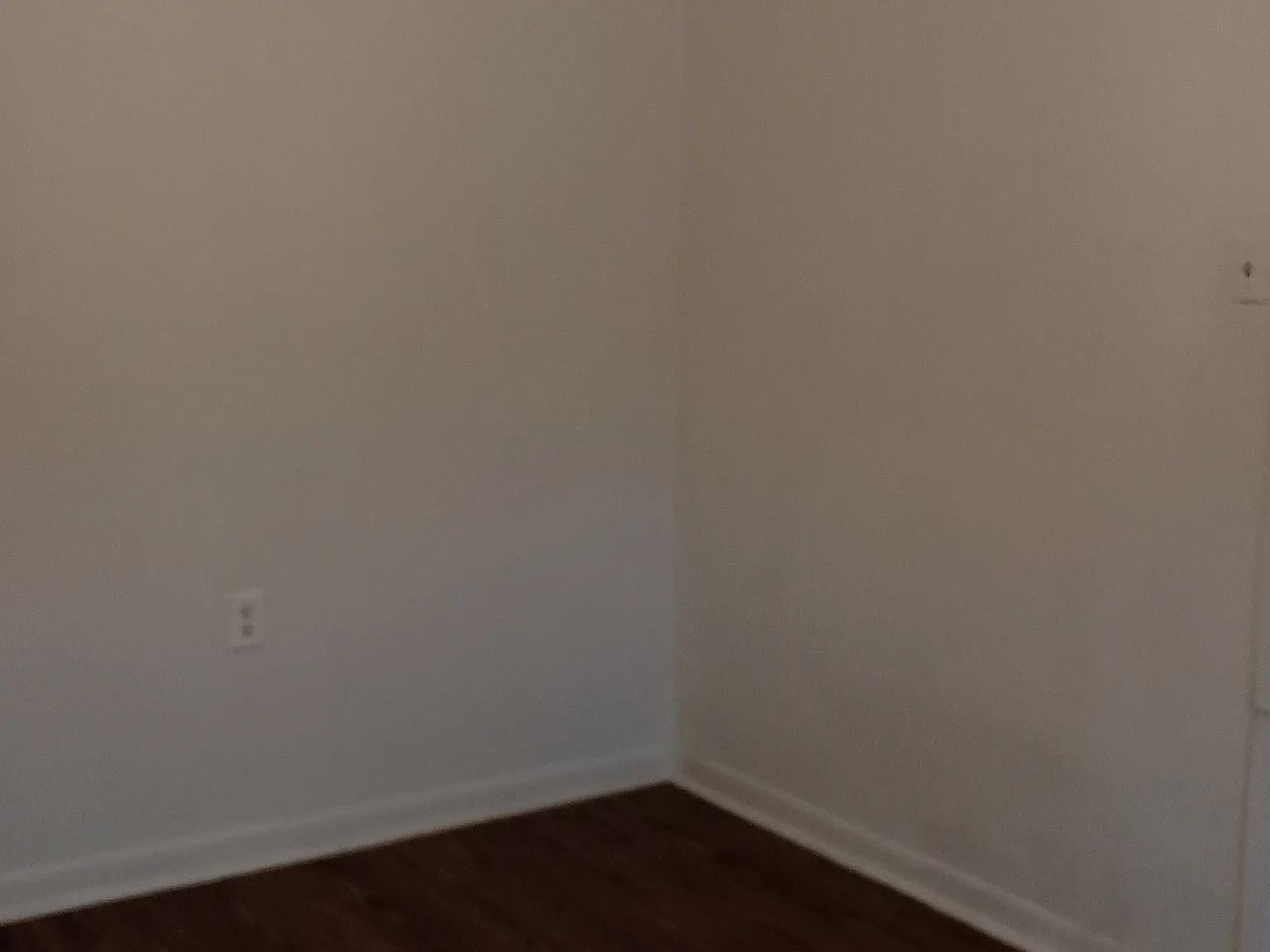 1 bed, 550 sqft, $750 — Photo 4
