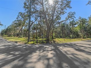 12110 W Standish Dr, Homosassa, FL 34448