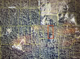 157th Pl #4080, Mc Alpin, FL 32062