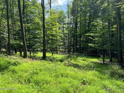 114 Cold Spring Ln, Greentown, PA, 18426